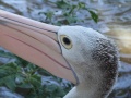 DSCF2272.JPG