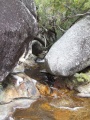 DSCF2721.JPG