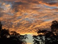 DSCF3320.JPG