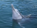 DSCF3564.JPG