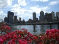 DSCF3731.JPG
