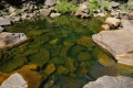 IMGP8902-1600.jpg