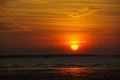 IMGP9381-1600.jpg